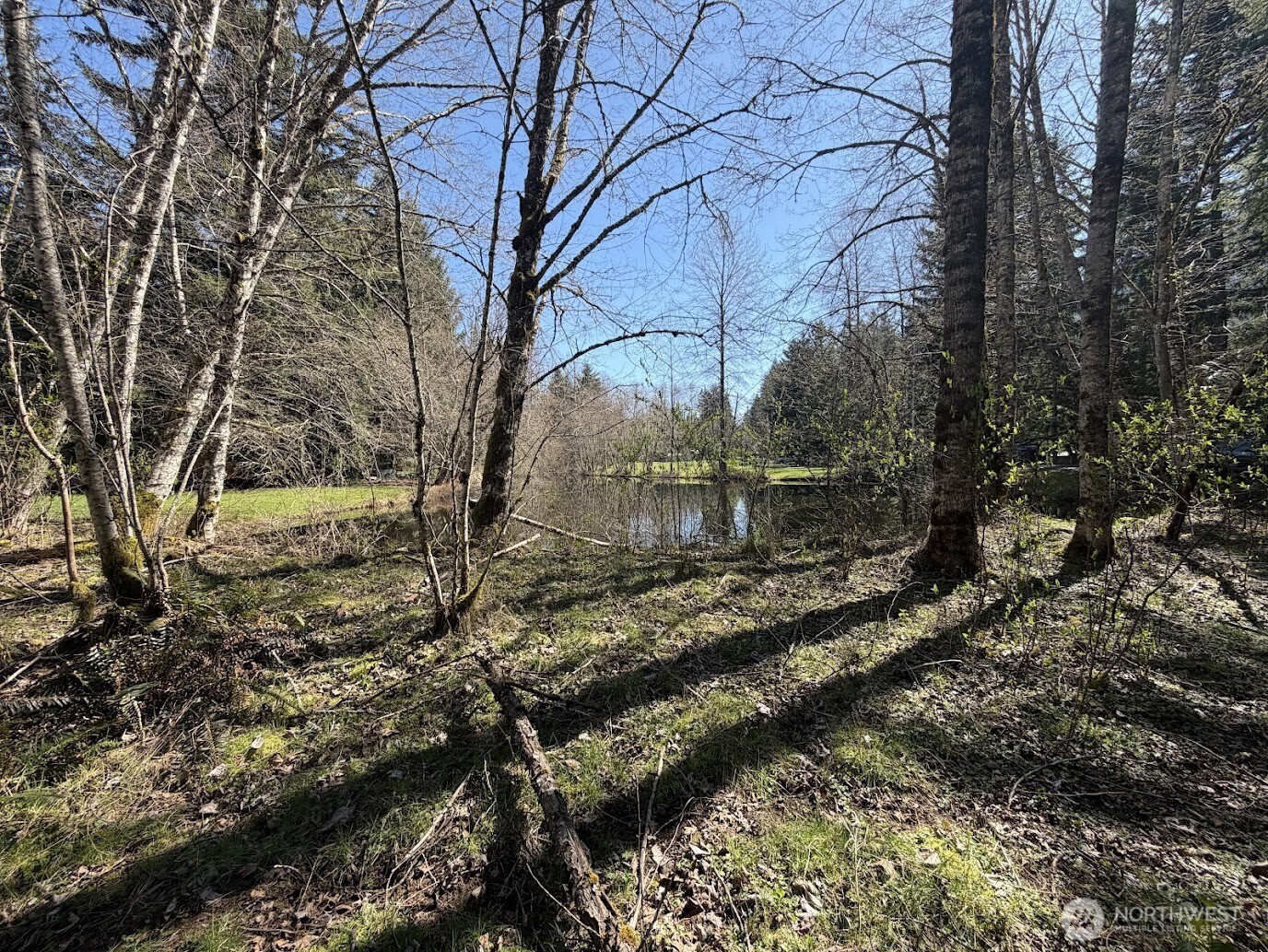 181 Nisqually Way Ashford WA 98304