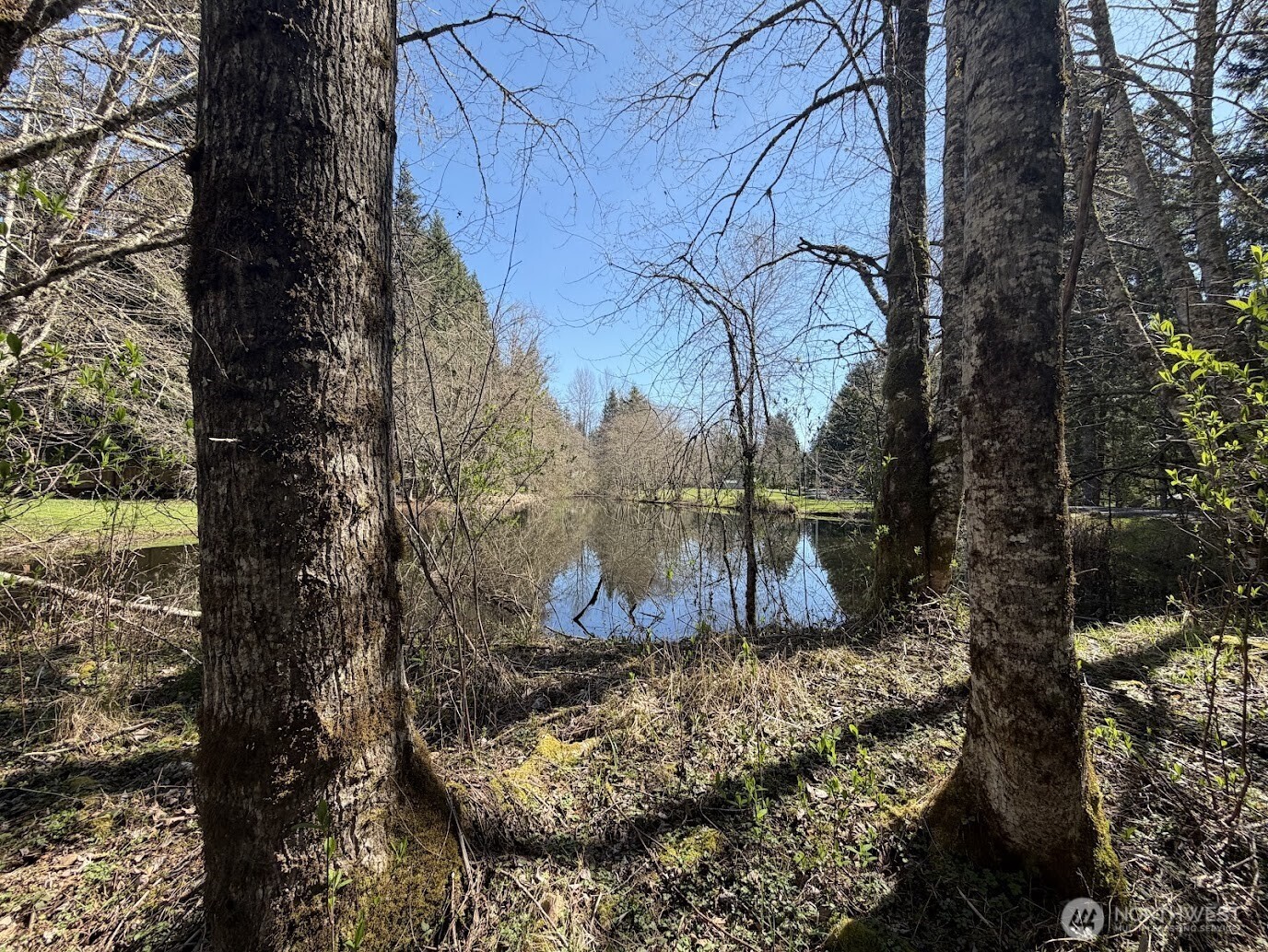 181 Nisqually Way Ashford WA 98304