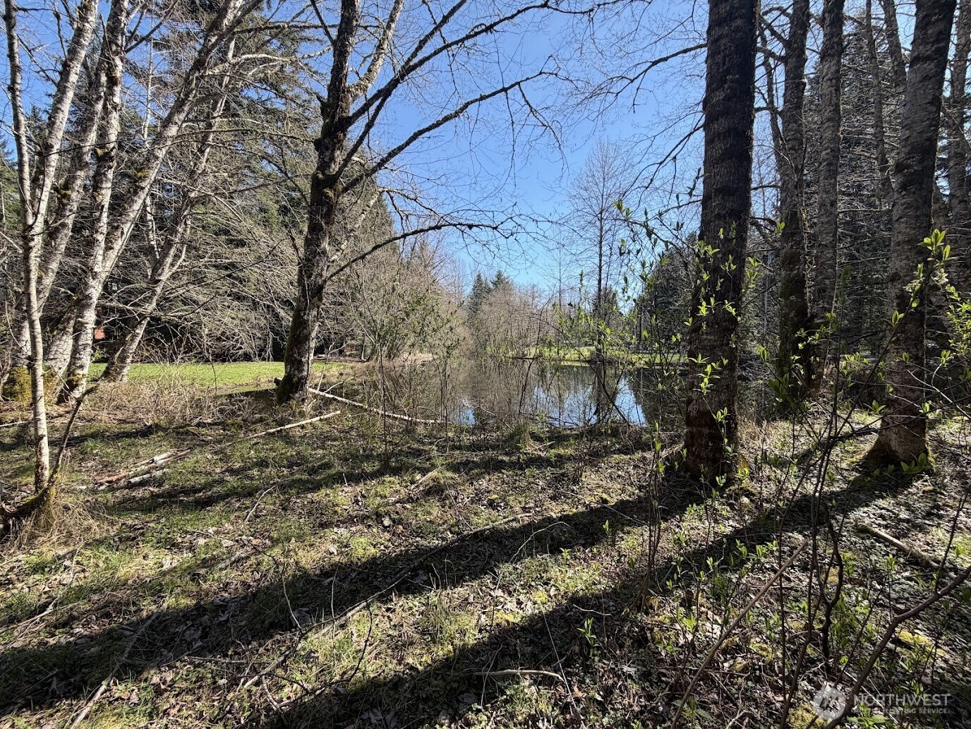 181 Nisqually Way Ashford WA 98304