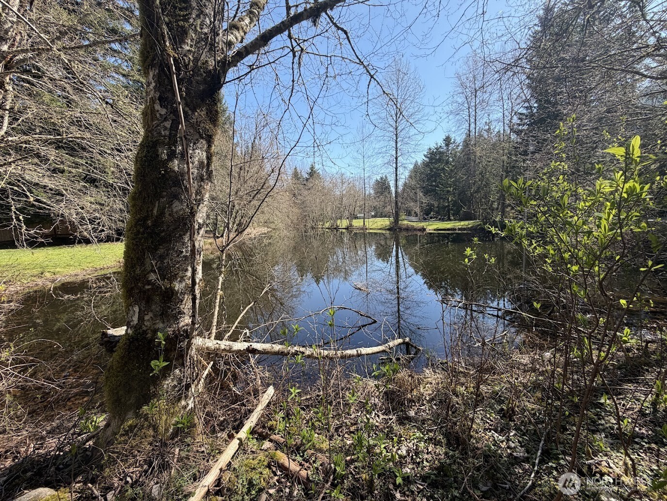 181 Nisqually Way Ashford WA 98304