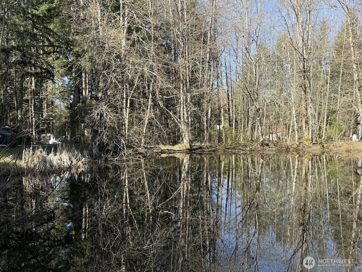 181 Nisqually Way Ashford WA 98304