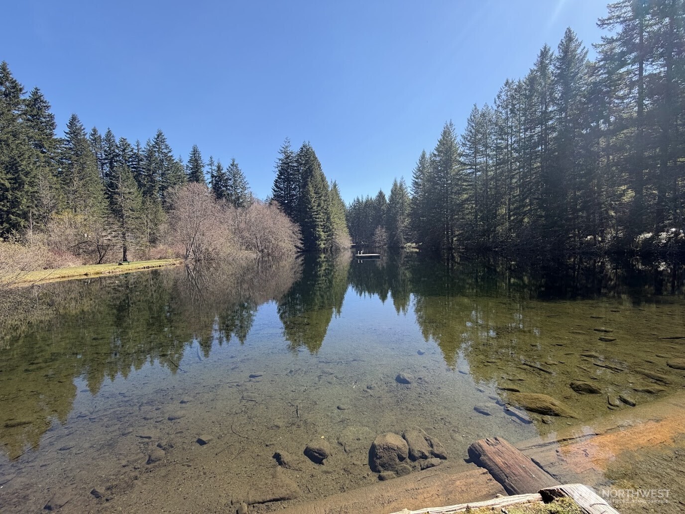 181 Nisqually Way Ashford WA 98304