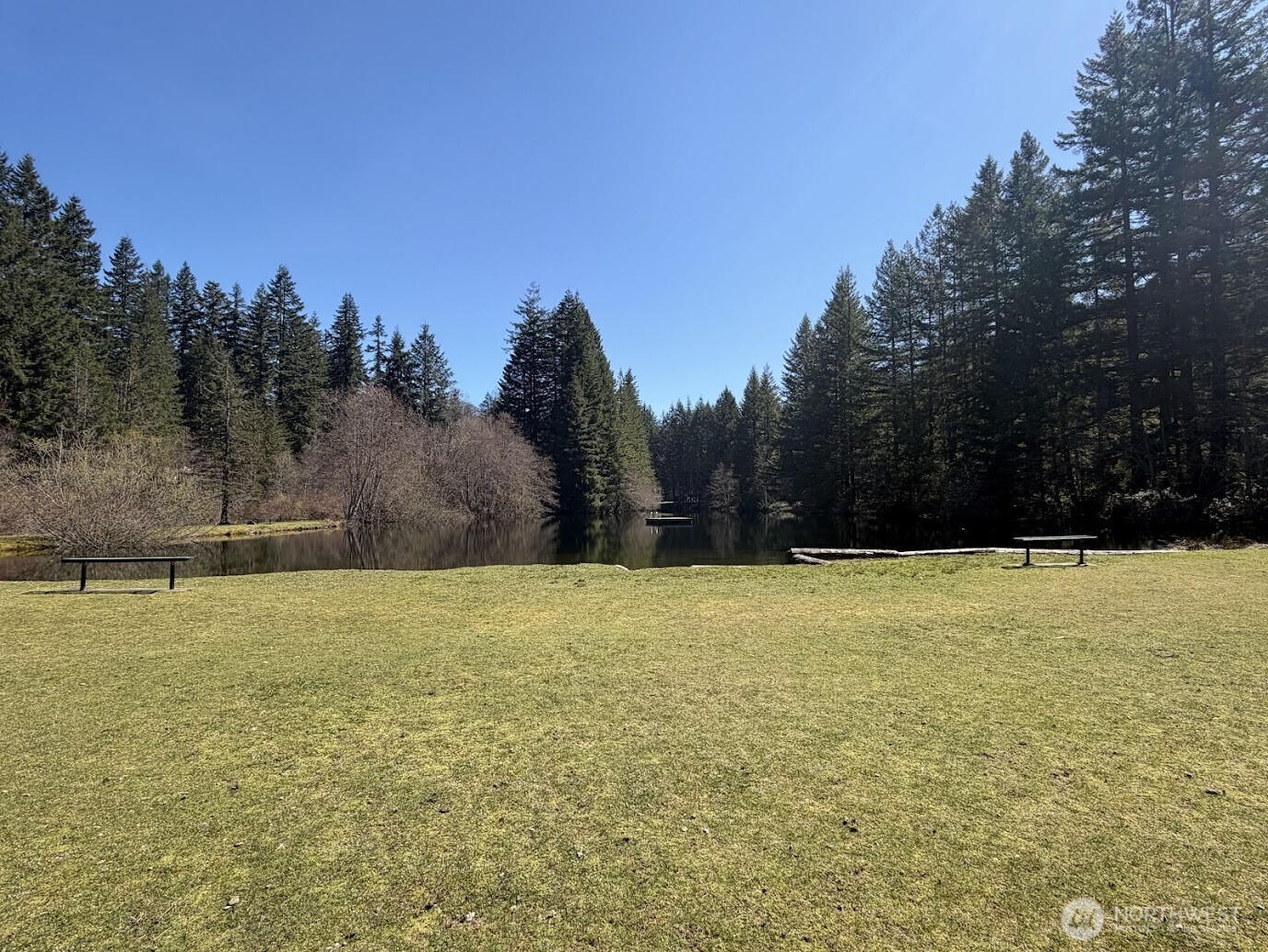 181 Nisqually Way Ashford WA 98304