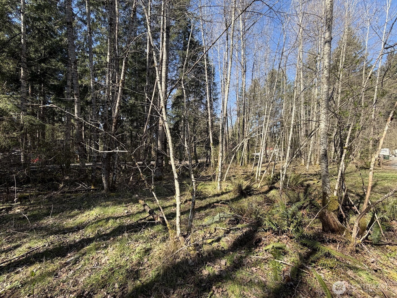 181 Nisqually Way Ashford WA 98304