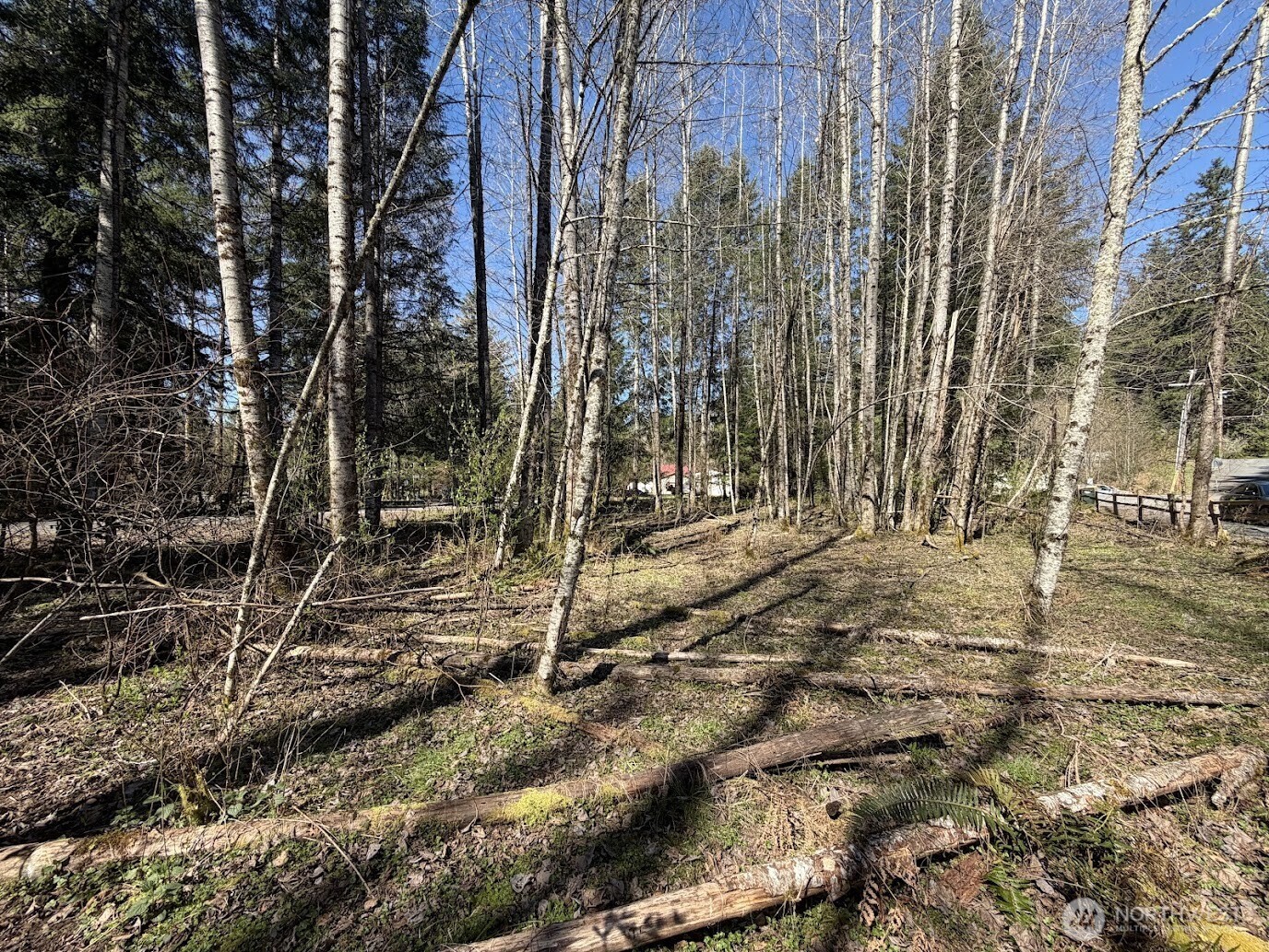 181 Nisqually Way Ashford WA 98304