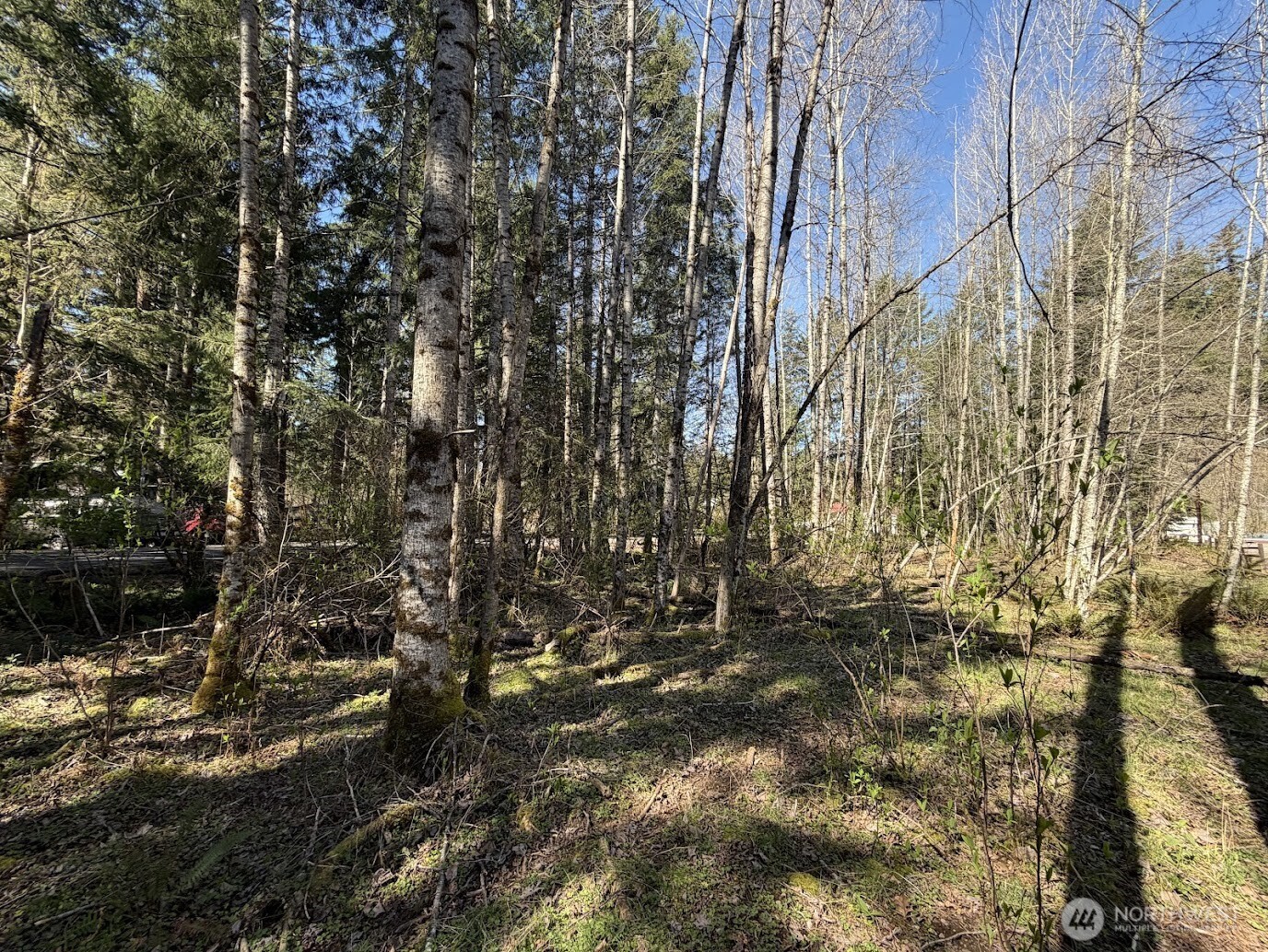 181 Nisqually Way Ashford WA 98304