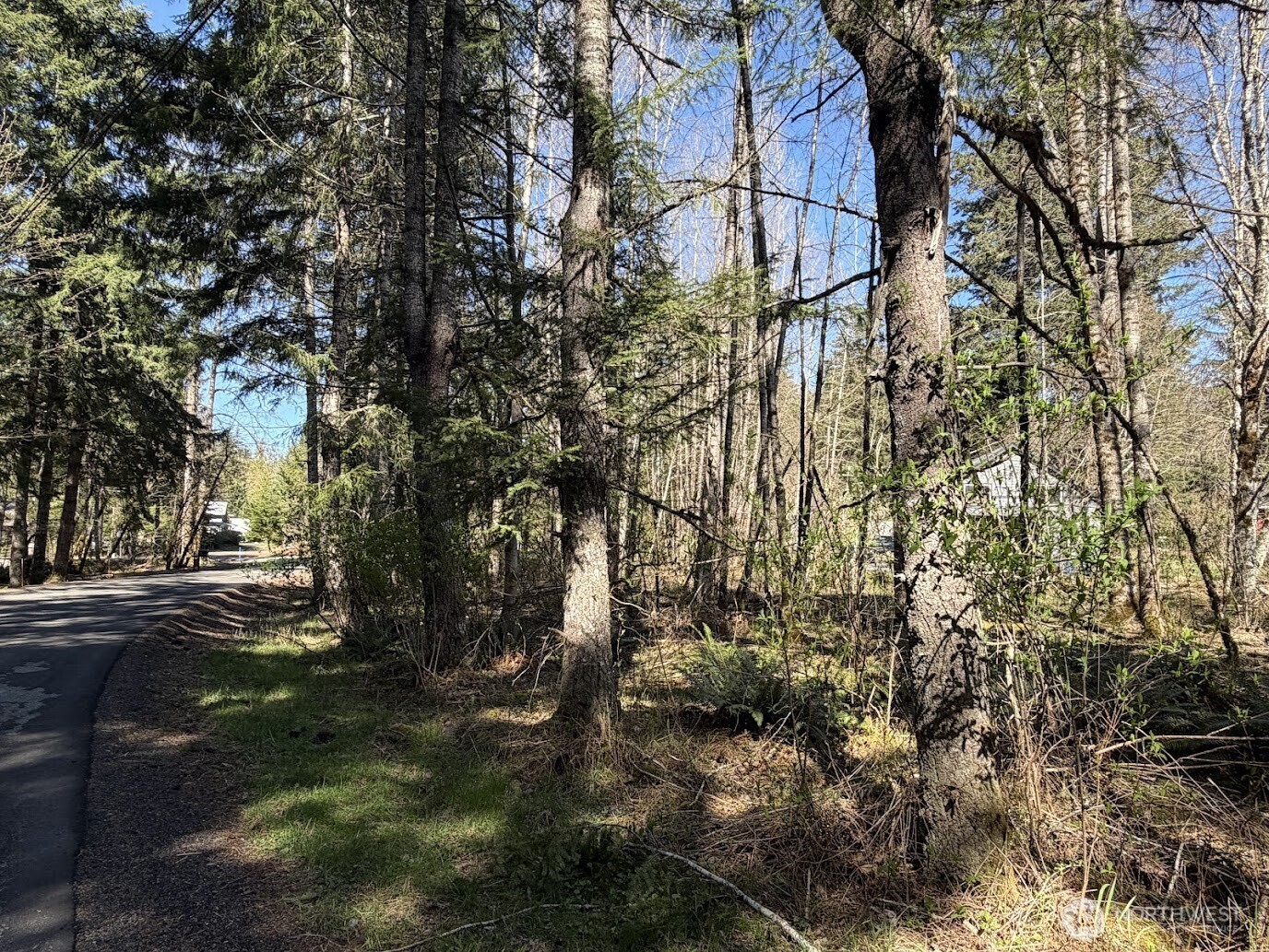 181 Nisqually Way Ashford WA 98304