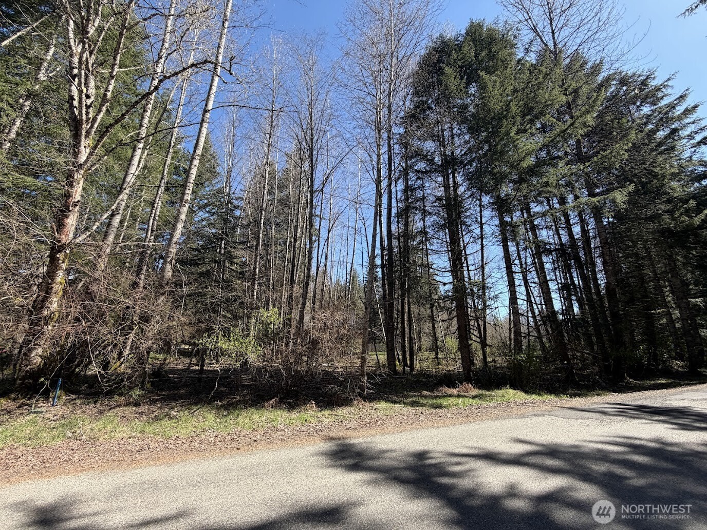 181 Nisqually Way Ashford WA 98304