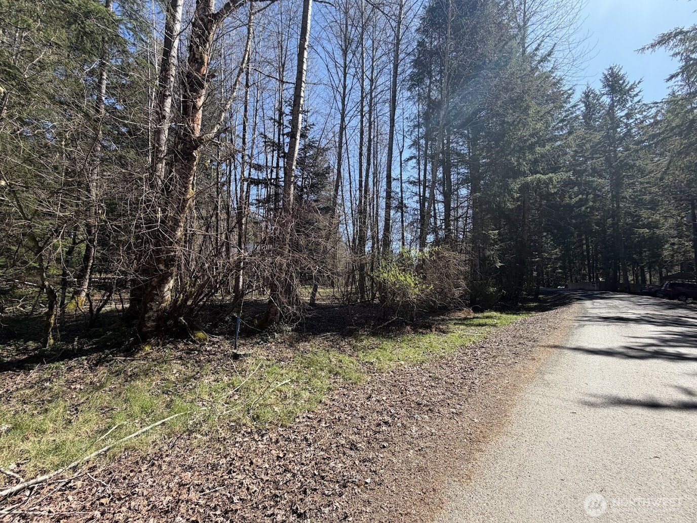 181 Nisqually Way Ashford WA 98304