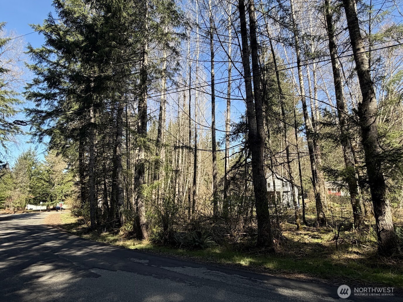 181 Nisqually Way Ashford WA 98304