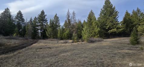 99 Prior Loop Road Oroville WA 98844