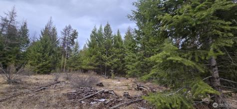 99 Prior Loop Road Oroville WA 98844