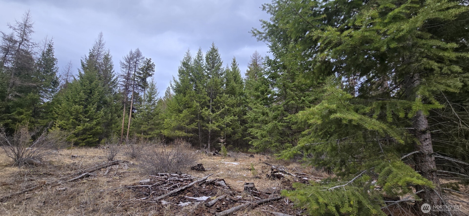 99 Prior Loop Road Oroville WA 98844