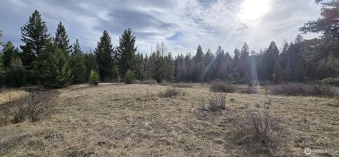 99 Prior Loop Road Oroville WA 98844