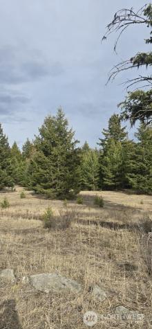 99 Prior Loop Road Oroville WA 98844