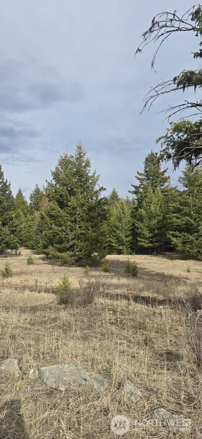 99 Prior Loop Road Oroville WA 98844