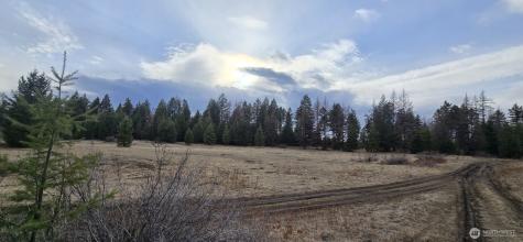 99 Prior Loop Road Oroville WA 98844