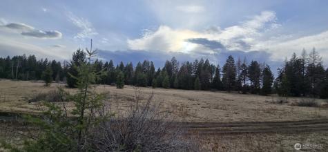 99 Prior Loop Road Oroville WA 98844