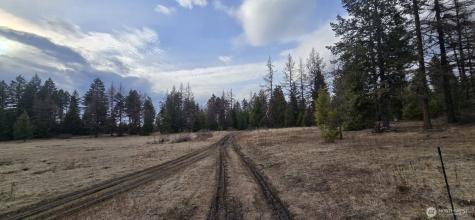 99 Prior Loop Road Oroville WA 98844