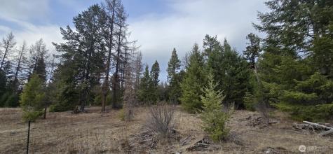 99 Prior Loop Road Oroville WA 98844