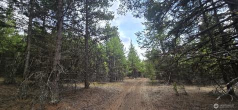 99 Prior Loop Road Oroville WA 98844