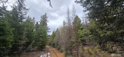99 Prior Loop Road Oroville WA 98844