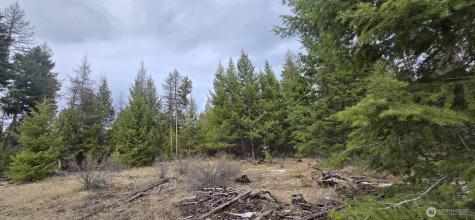 99 Prior Loop Road Oroville WA 98844