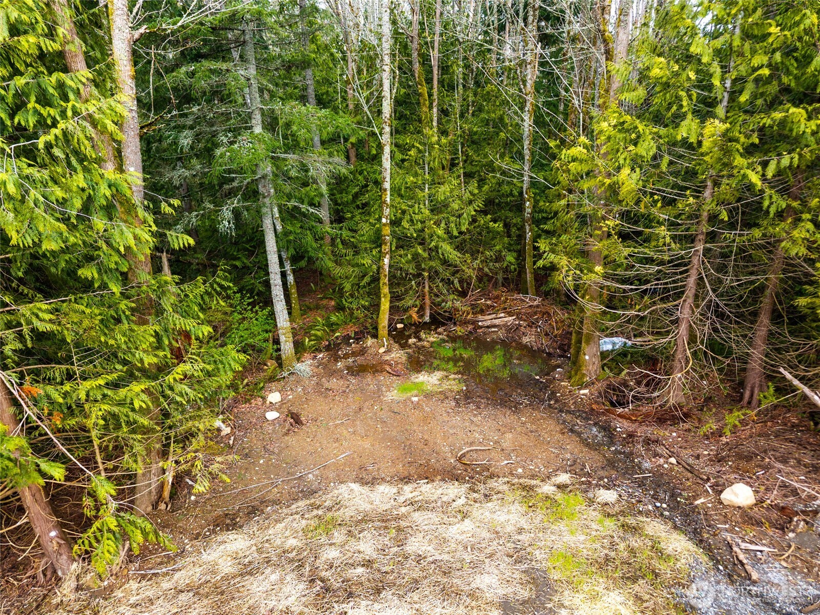 813 41st Bellingham WA 98229