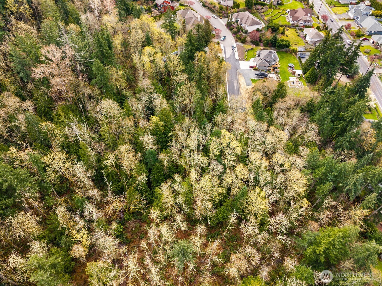 813 41st Bellingham WA 98229
