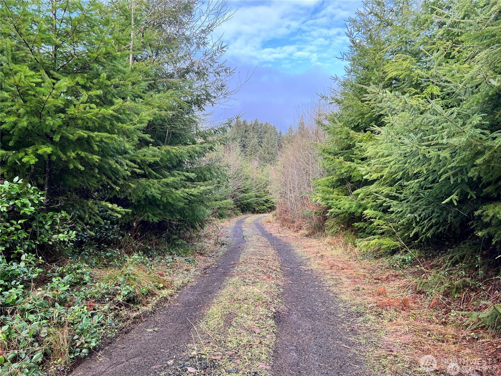 0 Highway 101 Cosmopolis WA 98537