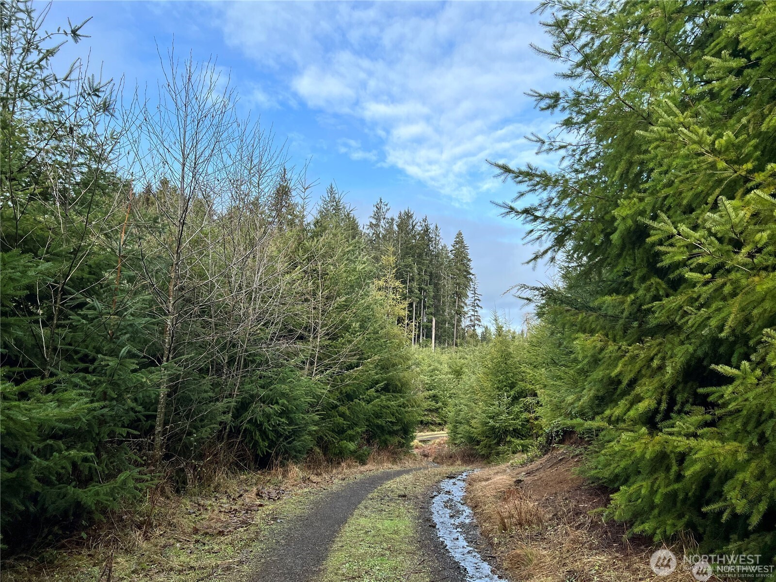 0 Highway 101 Cosmopolis WA 98537