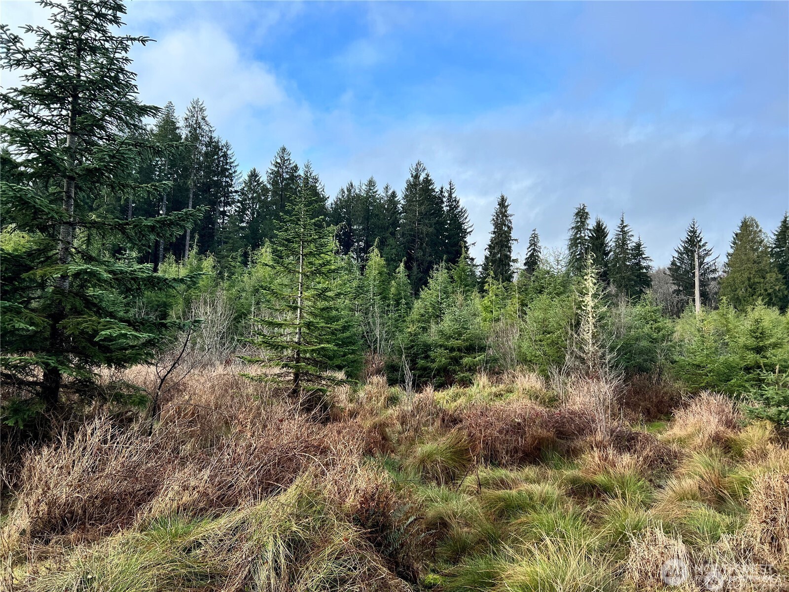 0 Highway 101 Cosmopolis WA 98537