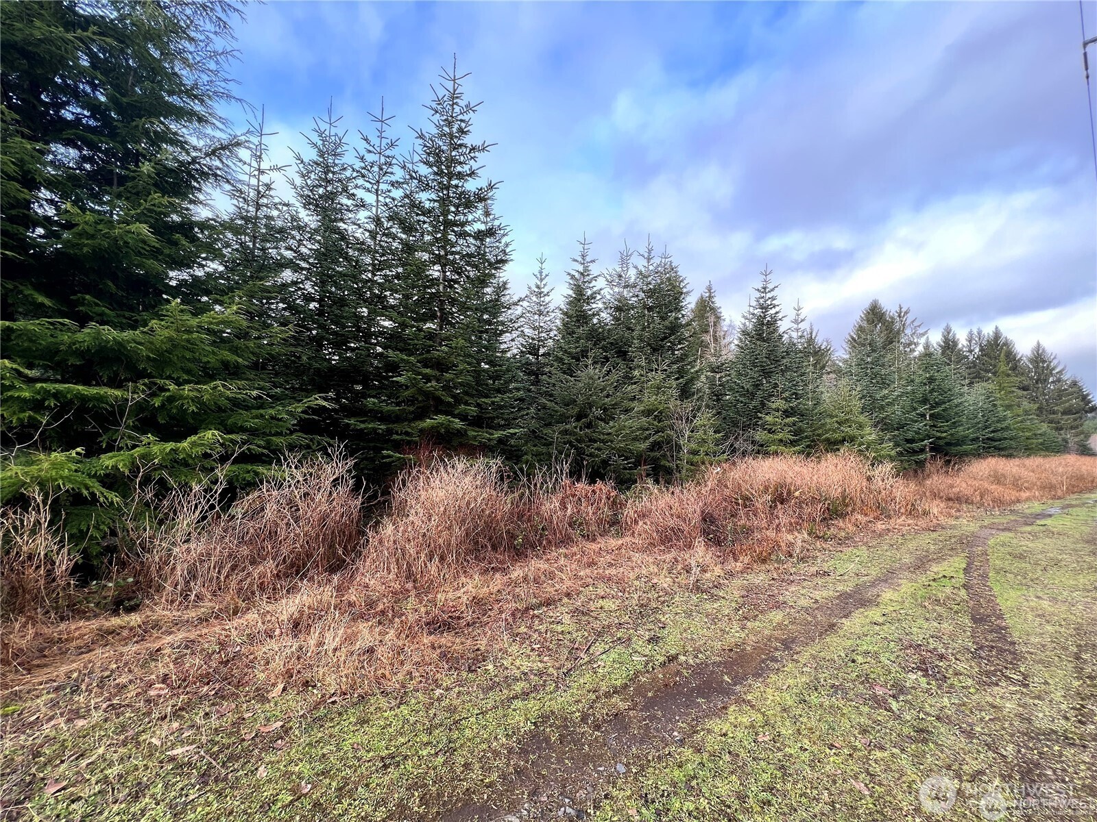 0 Highway 101 Cosmopolis WA 98537