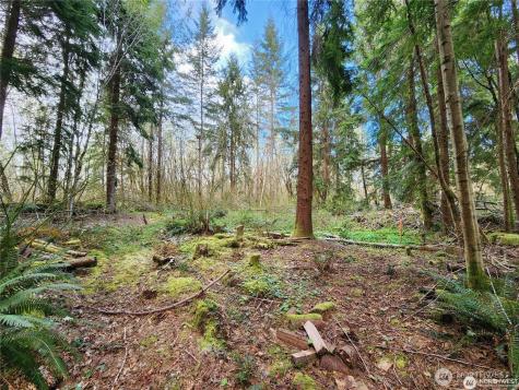 347 NE 82nd Place Carnation WA 98014