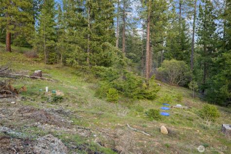 26 Coralbell (Lot 26) Lane Roslyn WA 98941