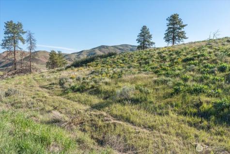 25 Chelan Hills Acres Road Orondo WA 98843