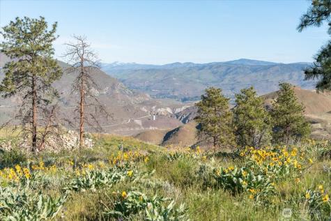 25 Chelan Hills Acres Road Orondo WA 98843