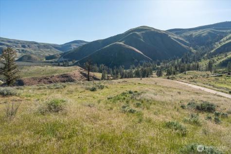 25 Chelan Hills Acres Road Orondo WA 98843
