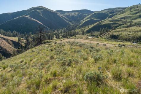 25 Chelan Hills Acres Road Orondo WA 98843