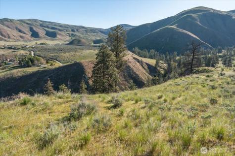 25 Chelan Hills Acres Road Orondo WA 98843