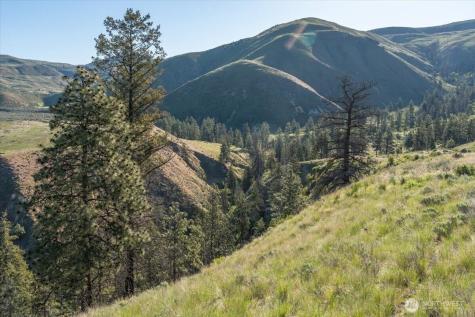 25 Chelan Hills Acres Road Orondo WA 98843