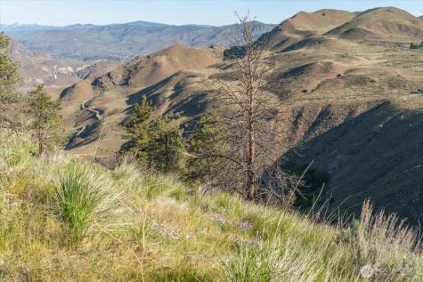 25 Chelan Hills Acres Road Orondo WA 98843