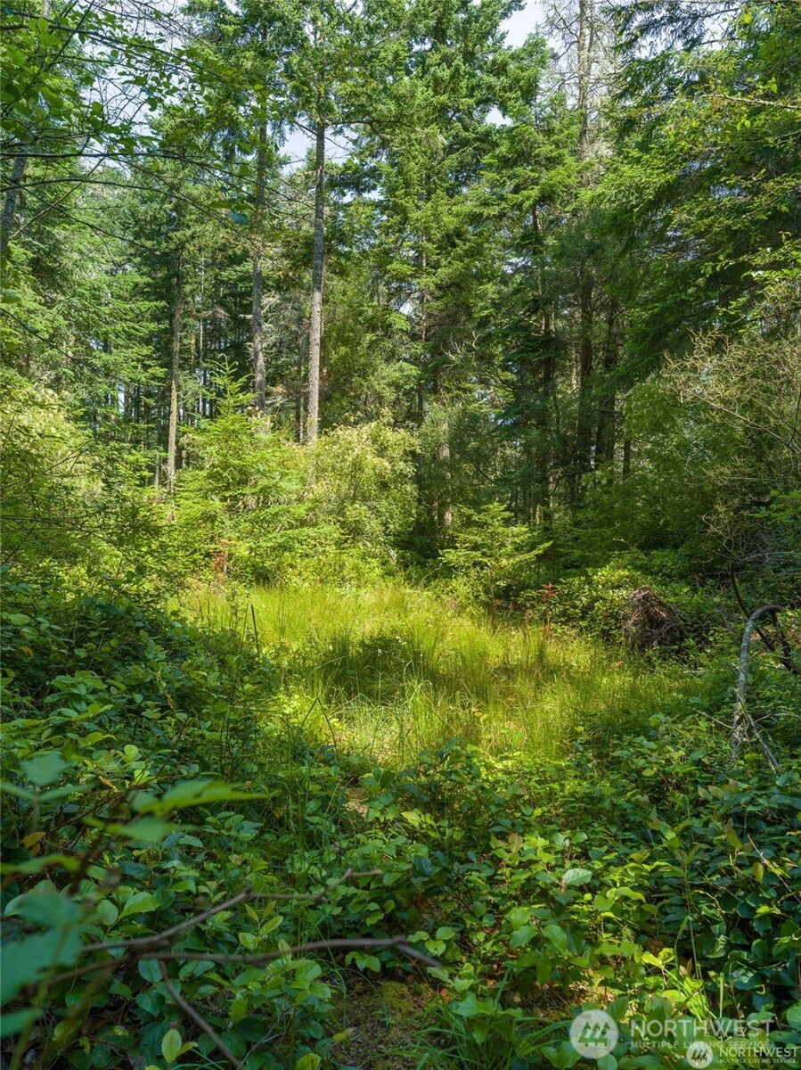 0 Eliza Road Lopez Island WA 98261