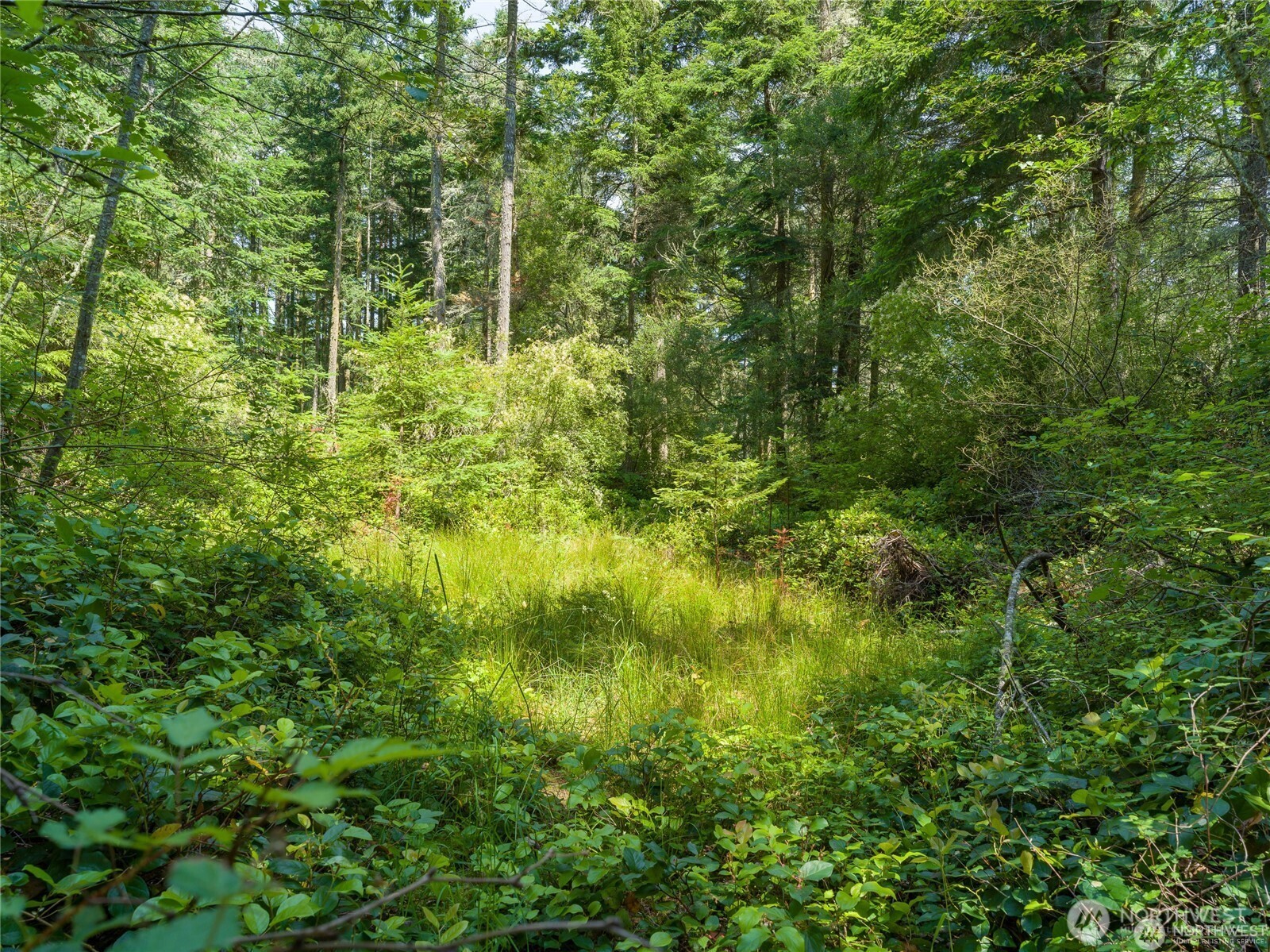 0 Eliza Road Lopez Island WA 98261