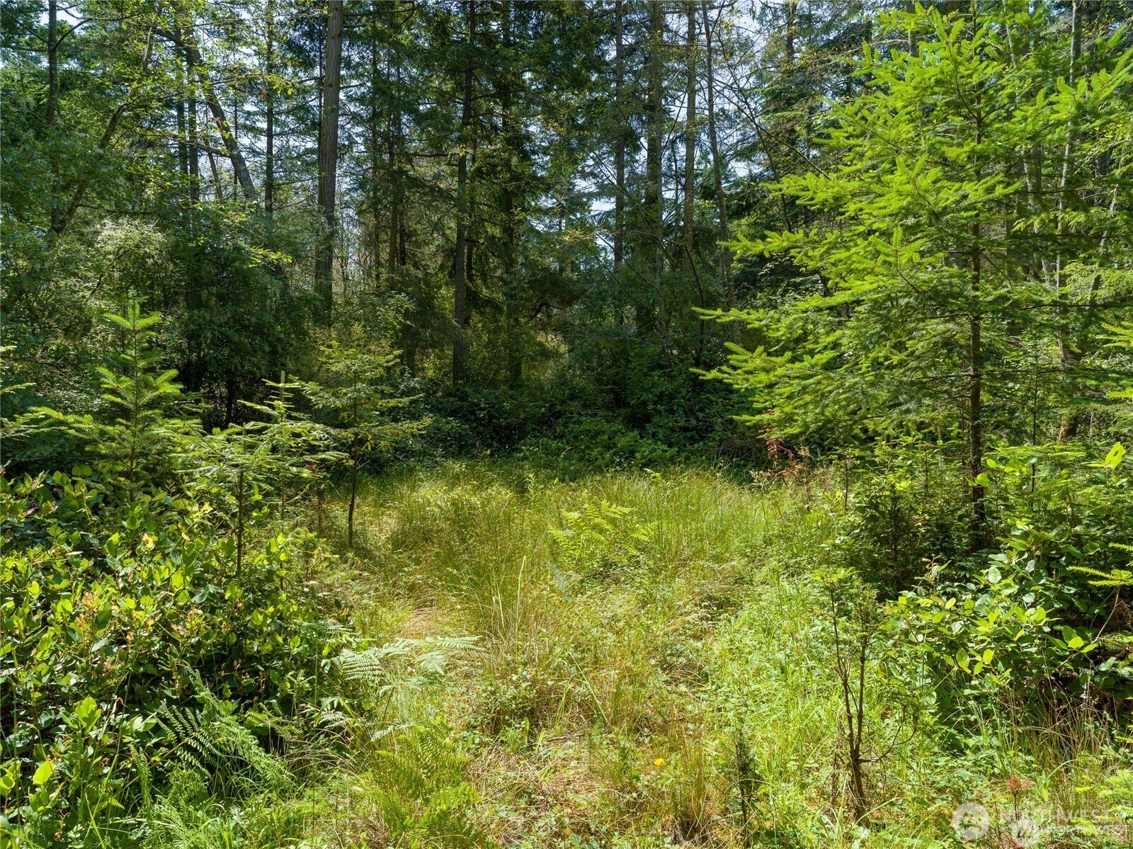 0 Eliza Road Lopez Island WA 98261