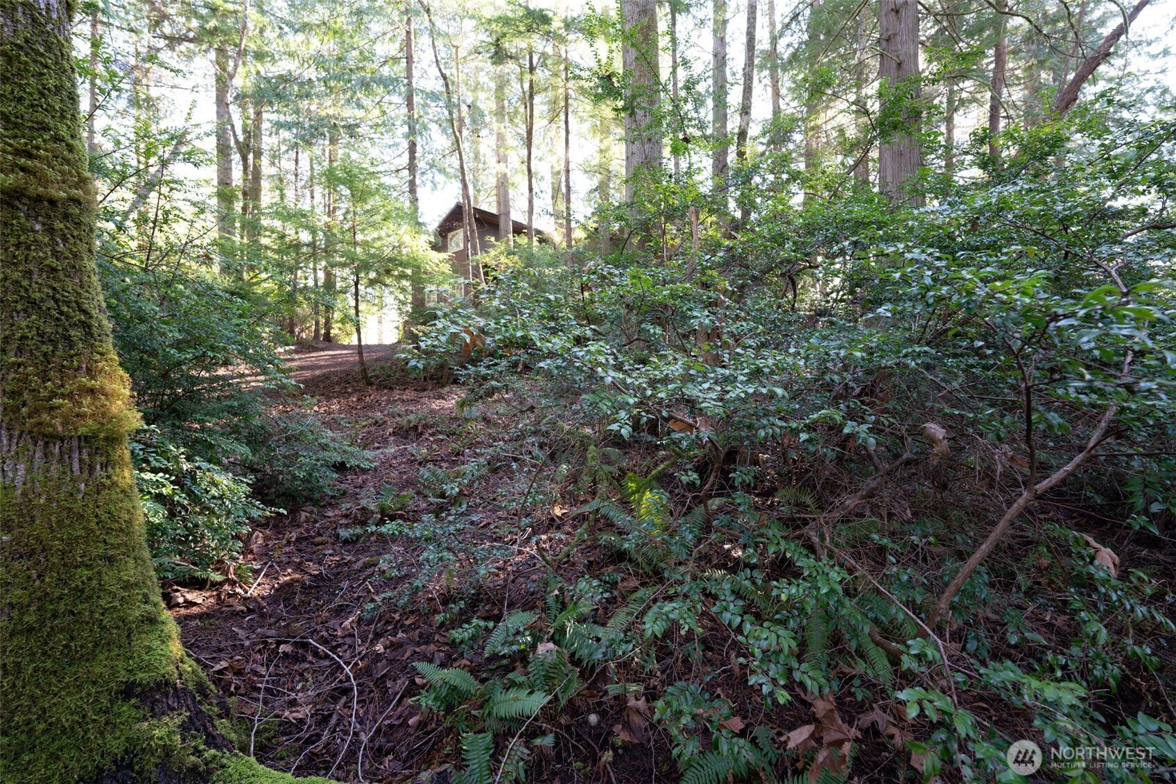 432 E Pointes Drive E Shelton WA 98584