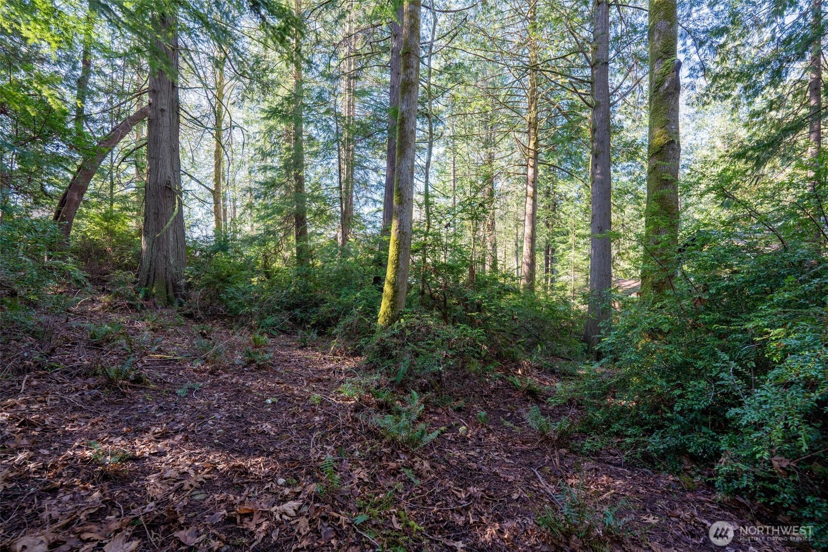 432 E Pointes Drive E Shelton WA 98584
