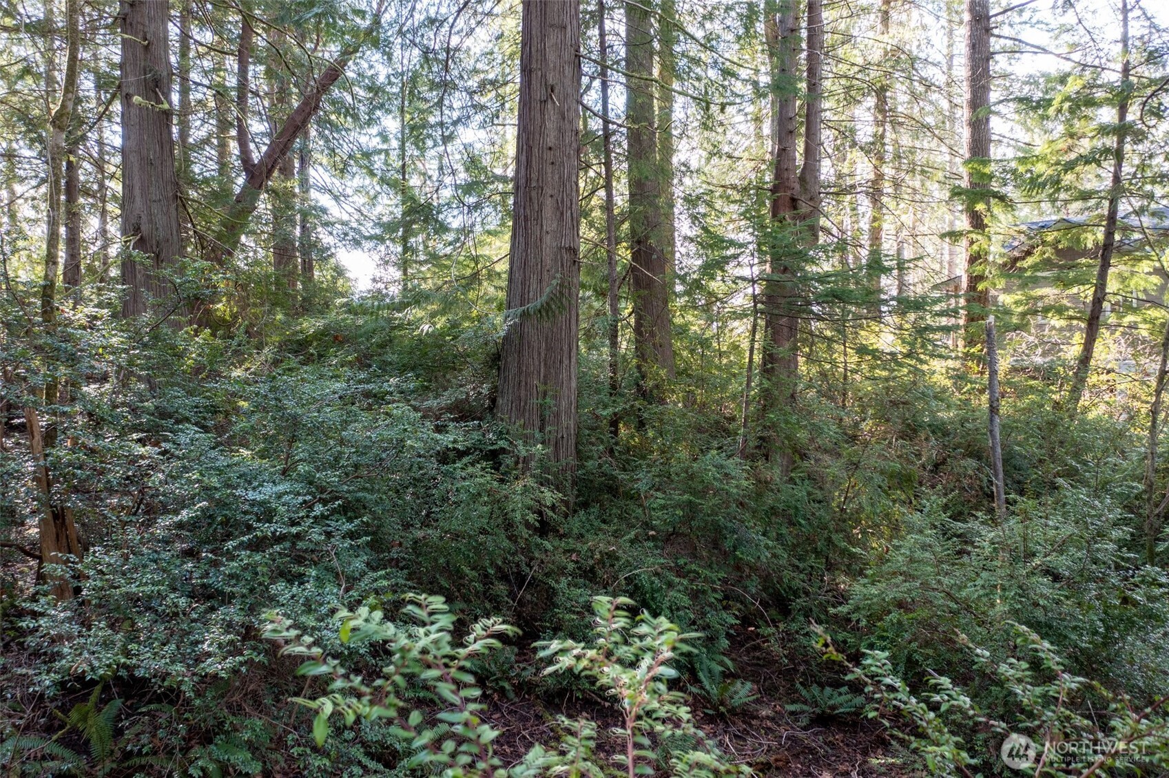 432 E Pointes Drive E Shelton WA 98584