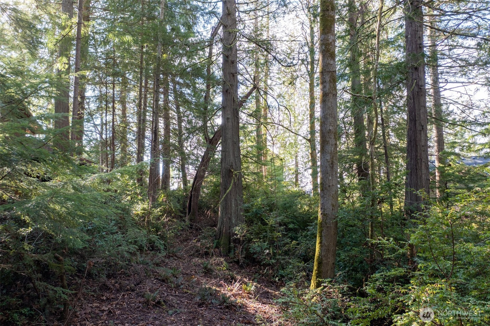 432 E Pointes Drive E Shelton WA 98584