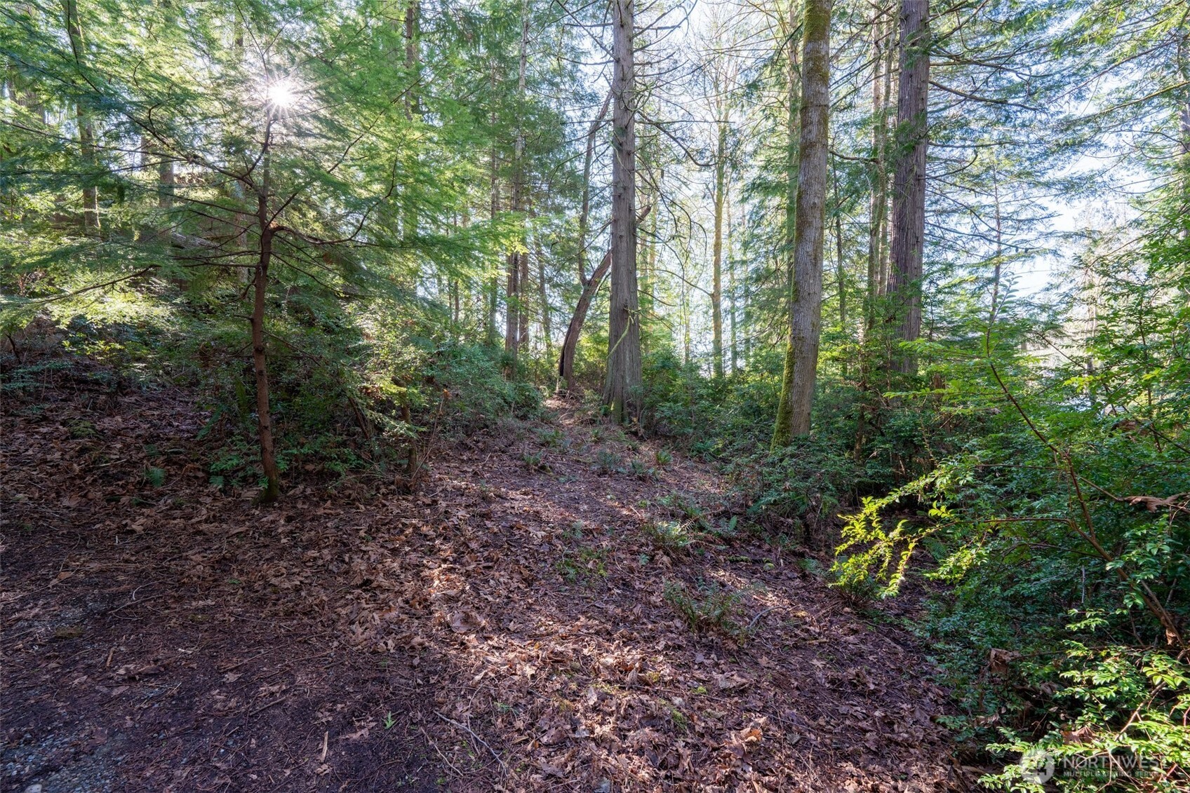 432 E Pointes Drive E Shelton WA 98584